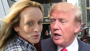 0430-stormy-daniels-donald-trump-tmz-01