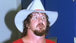 Terry Funk