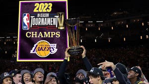 lakers tournament champs banner