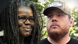 tracy chapman luke combs