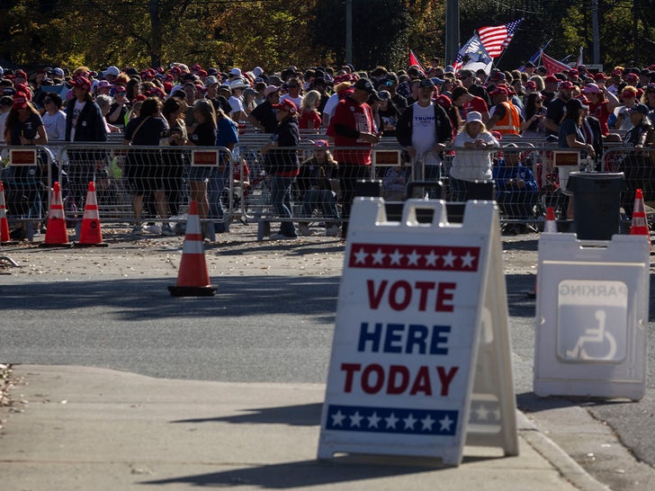 Voters Hit The Poll Stations For 2024 Presidential Election