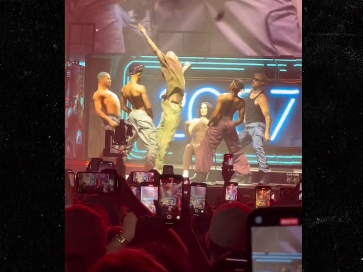 chris brown throws fan's phone