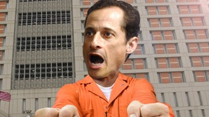 0926-anthony-weiner-prison-fun-art-01