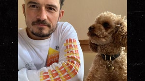 0719 orlando bloom dog instagram 01