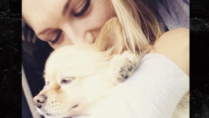 0419_brooke_hogan_dog-return