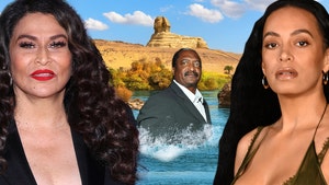 tina knowles Solange mathew