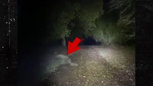 Dog Walker Sees Demon While Walking Dog