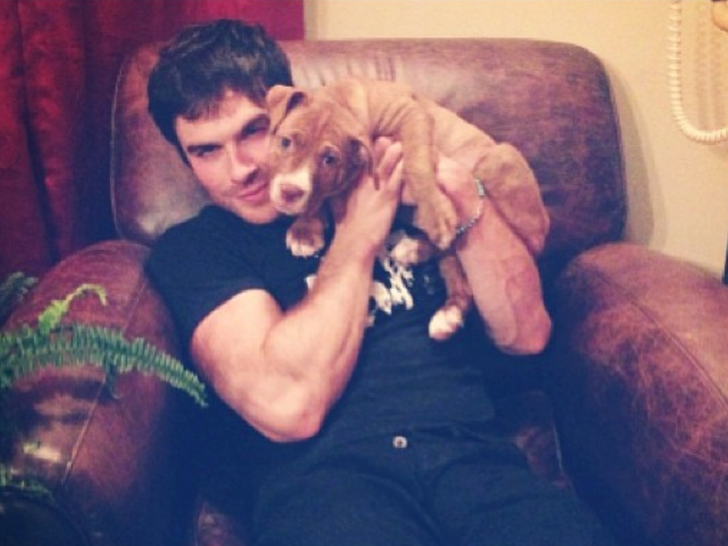 Handsome Hunks With Puppies