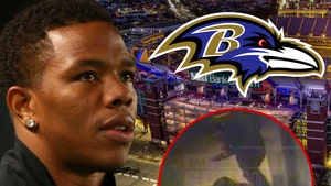 1230 ray rice mt stadium ravens elevator