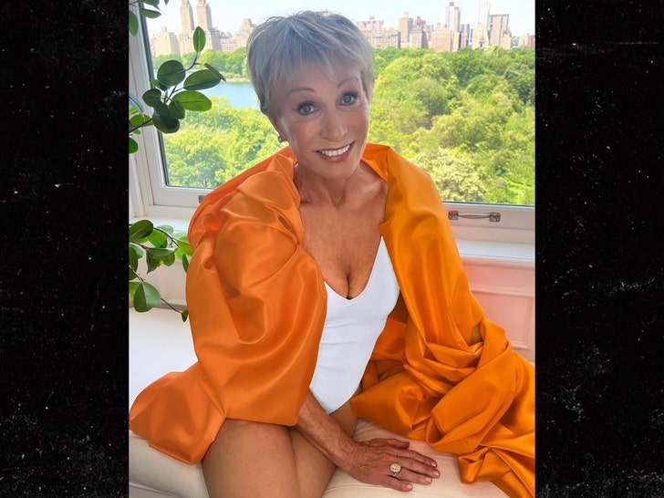 Barbara Corcoran insta