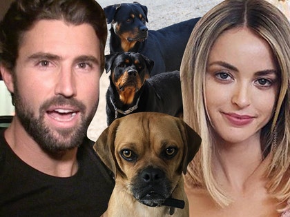 0521-brody-jenner-kaitlynn-carter-dogs-tmz-ig-2