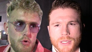 jake paul and Canelo Alvarez