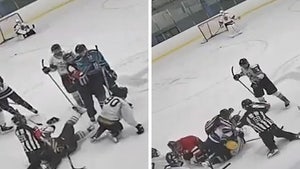 Hockey Fight