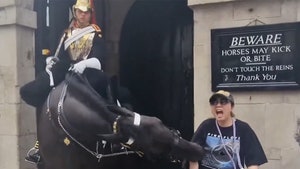 Horse Bites Tourist