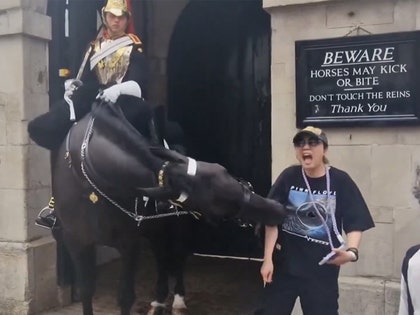 Horse Bites Tourist