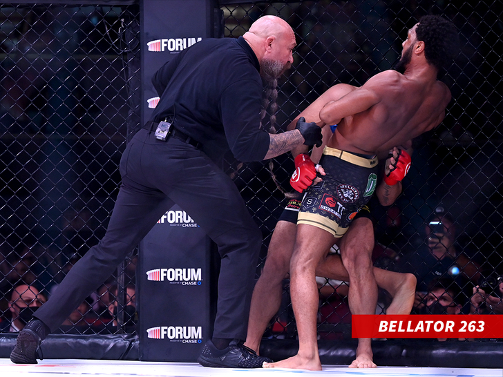 AJ McKee Bellator 263