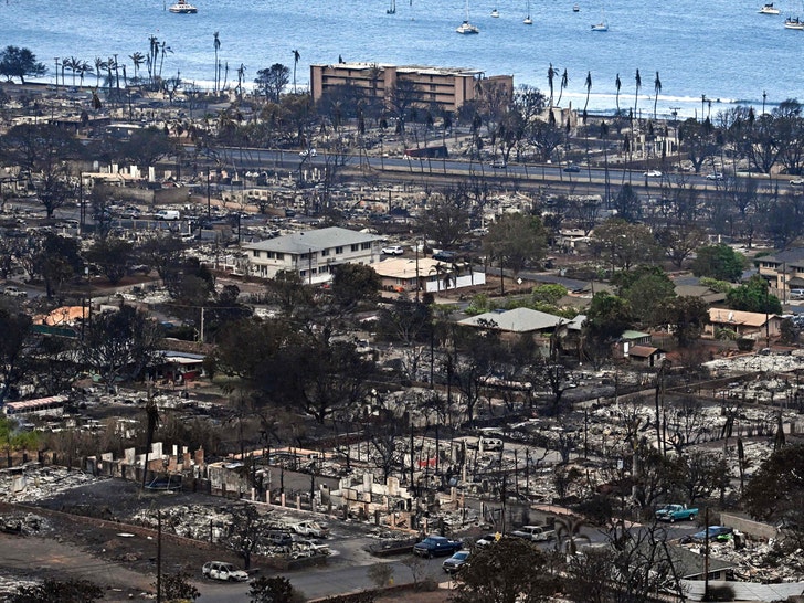 The Devastation In Hawaii