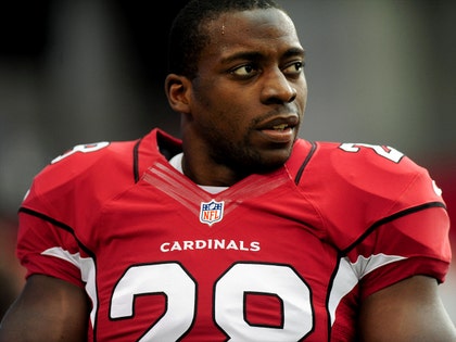 rashard mendenhall arizona cardinals nfl