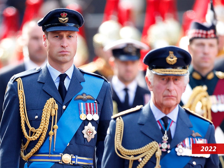 prince charles and prince william