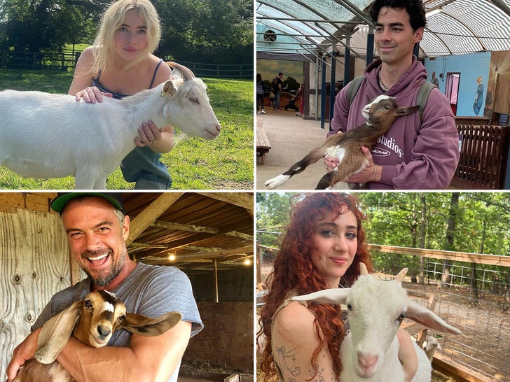 Stars With Goats