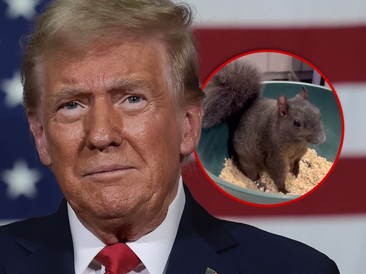 1102 donald trump peanut the squirrel main getty composite