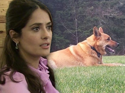 0228-salma-hayek-dog-TMZ-INSTAGRAM-01