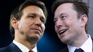 ron desantis elon musk