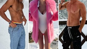 0211-Sexy-Stars-In-Snow-Guess-Who-PRIMARY