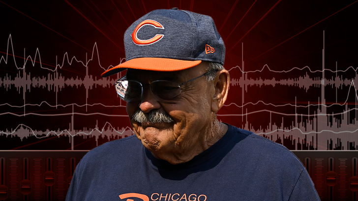 1005-dick-butkus-TMZ-audio-art-desktop-1 (1)