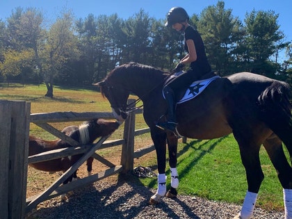 Bella Hadid Horse Pony photos 4