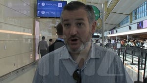 Ted Cruz TMZ interview Washington airport