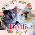 Kattliv2　北欧と猫の暮らし