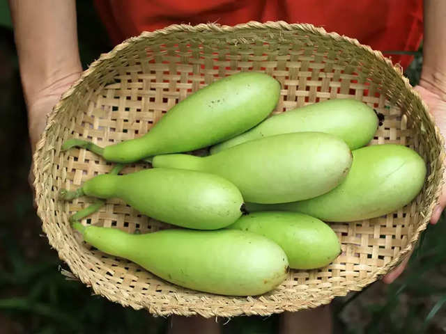 Bottle Gourd