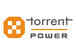 Torrent Power shares