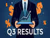 Q3 results today: TCS, Tata Elxsi, IREDA among 9 companies to announce earnings