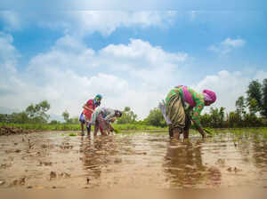 farming istock