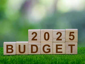 Budget-2025-1.