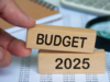 Budget 2025: Central schemes may not see change in allocation for FY26:Image