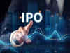 What's ahead for over Rs 8K cr IPOs after hits & misses in 2024:Image