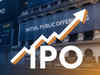 Capital Infra Trust sets IPO price band at Rs 99-100/unit:Image