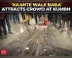 Maha Kumbh: 'Never hurts...', 'Kaante Wale Baba' attracts crowd:Image