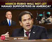 'Won't let Hamas supporters in': Rubio lays out new US visa criteria:Image