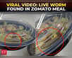 Zomato meal horror: Bengaluru customer finds live worm:Image