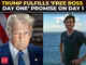 Trump frees Dark web kingpin Ross Ulbricht