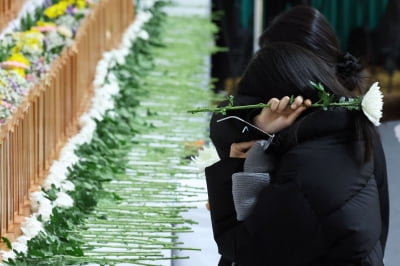 "무안공항 조류 예방 근무자 4명, 사건 당일날 2명만 근무"