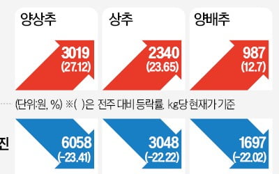 딸기 케이크·뷔페…연말 수요 폭증에 딸기값 '고공행진'