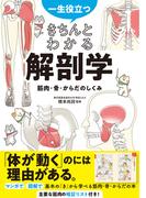 一生役立つ！ きちんとわかる解剖学　筋肉・骨・からだのしくみ