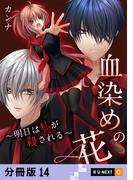 血染めの花～明日は私が殺される～ 【分冊版】 14