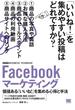 Facebookマーケティング ［ビジテク］ 価値ある「いいね！」を集める心得と手法