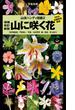 ヤマケイハンディ図鑑2 山に咲く花 増補改訂新版(山溪ハンディ図鑑)